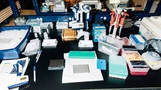 To solve 3 cold cases, this small US county got a DNA crash course