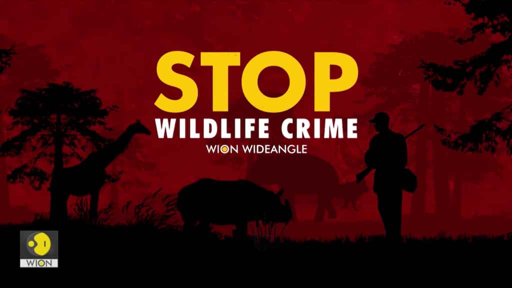WION WIDEANGLE: STOP WILDLIFE CRIME