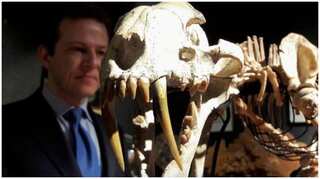 This cat actually hunted rhinos millions of years ago