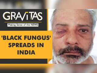 Gravitas: What is Black Fungus or Mucormycosis?