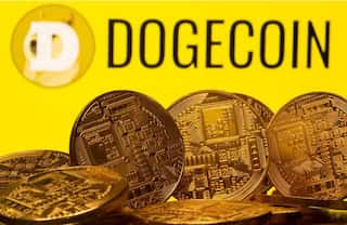 Goldman Sachs director quits after making millions from Dogecoin: Report