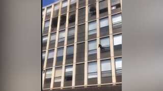 Watch: Cat jumps off fifth floor to save itself from fire, bounces a bit, runs off