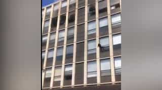 Watch: Cat jumps off fifth floor to save itself from fire, bounces a bit, runs off