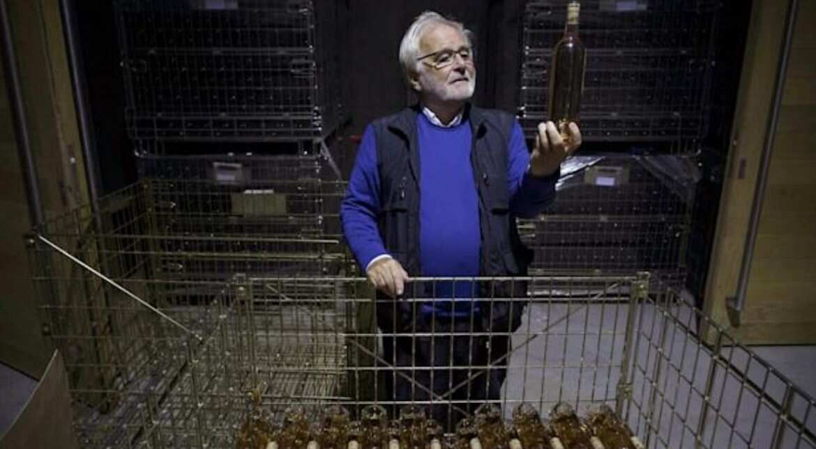 Rich and famous converge on France's rose vineyards