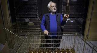 Rich and famous converge on France's rose vineyards