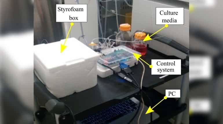 Indian, US scientists grow human brain tissues in a 3D printed apparatus
