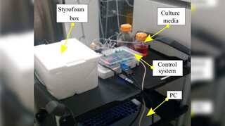 Indian, US scientists grow human brain tissues in a 3D printed apparatus