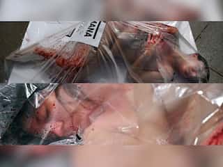 'Blood-soaked' naked activists protest against meat consumption in Spain