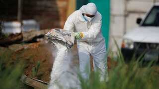El Salvador former cop-turned gangster had 14 victims buried at his home