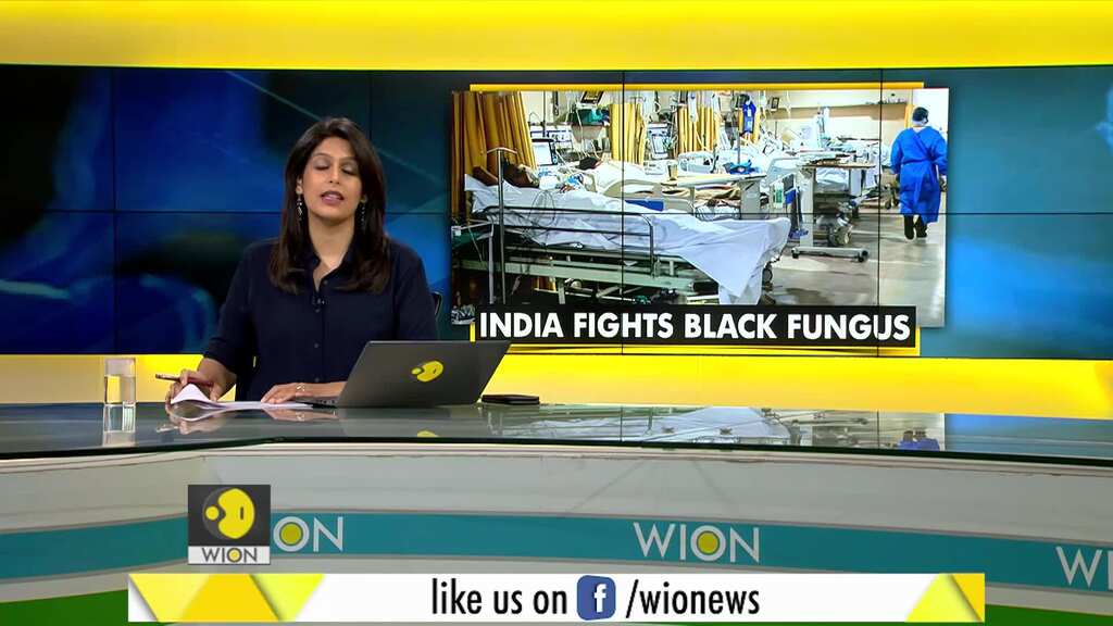 Gravitas: 'Black Fungus' declared an epidemic in India