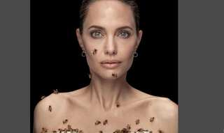 Angelina Jolie's new photos covered up in bees is all over the internet