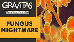 Gravitas:  After Black and White, India reports a case of Yellow Fungus