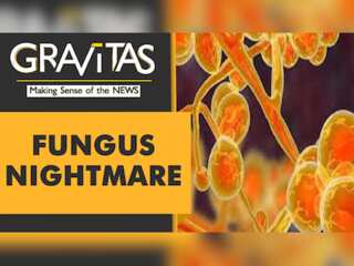 Gravitas:  After Black and White, India reports a case of Yellow Fungus
