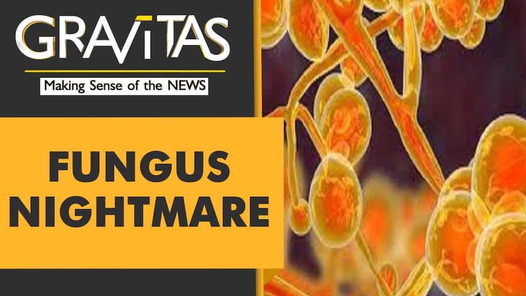 Gravitas:  After Black and White, India reports a case of Yellow Fungus