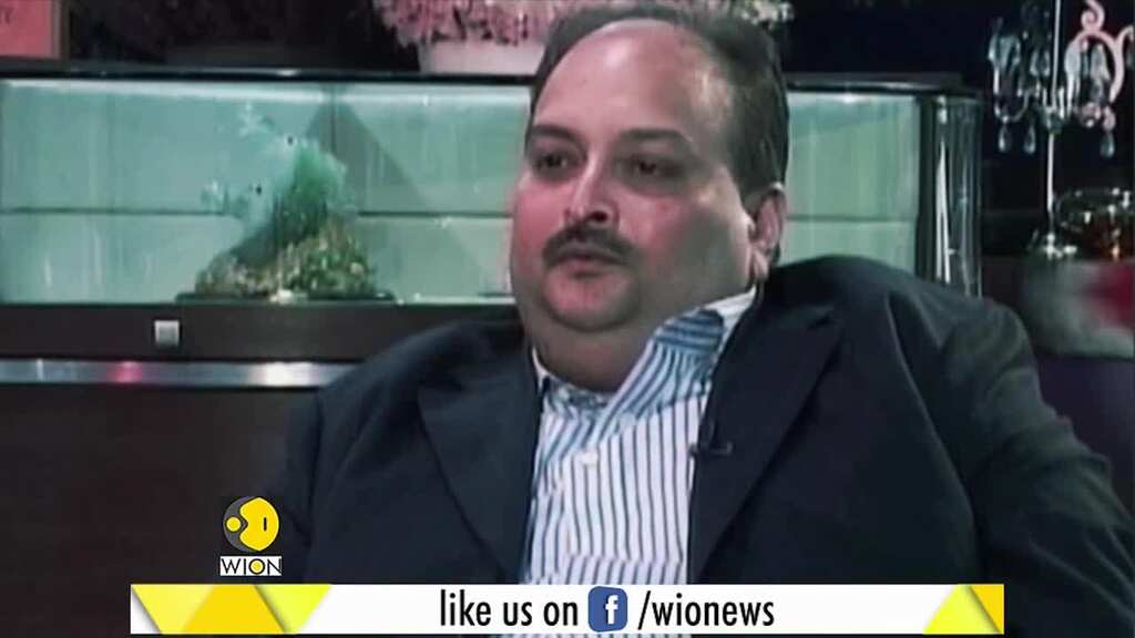 Report: Fugitive businessman Mehul Choksi captured in Dominica