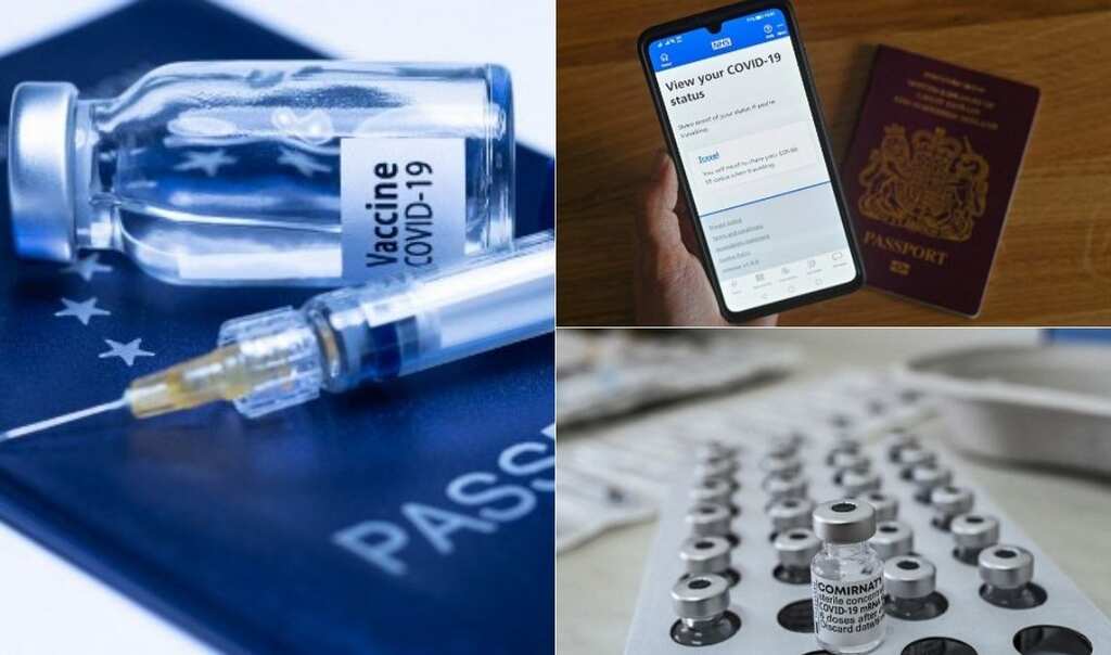 Vaccine passports needed to keep venues in England open