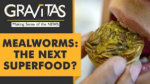Gravitas: Mealworm smoothies & cricket pasta on the menu