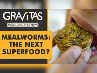 Gravitas: Mealworm smoothies & cricket pasta on the menu