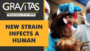 Gravitas:  A new kind of bird flu in China