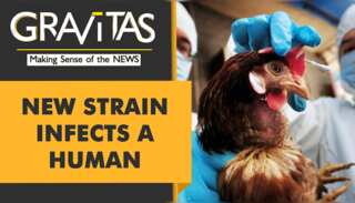 Gravitas:  A new kind of bird flu in China