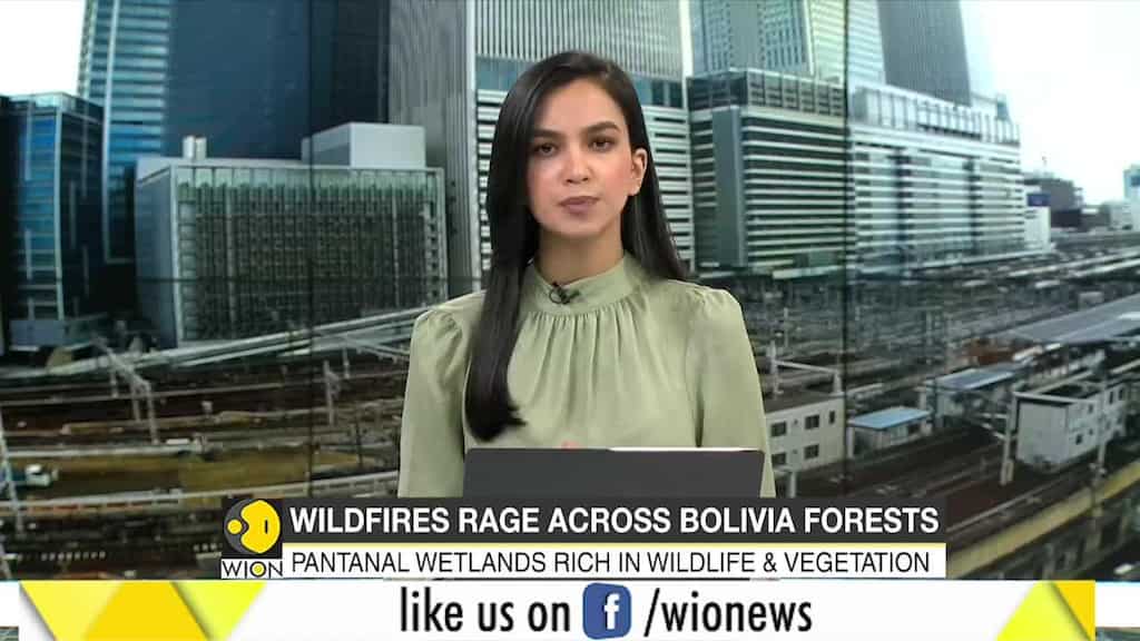 Wildfires sweep across Bolivia's Pantanal wetlands