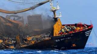 Dead marine animals and birds wash up ashore in Sri Lanka after burning of cargo ship