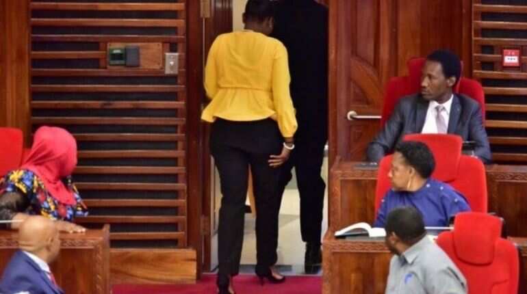 'Go dress up well': Female MP removed from Tanzania Parliament for wearing tight pants