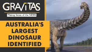 Gravitas | Meet Cooper: Australia's largest dinosaur
