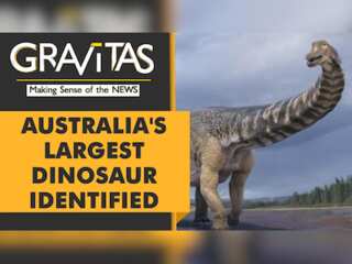 Gravitas | Meet Cooper: Australia's largest dinosaur