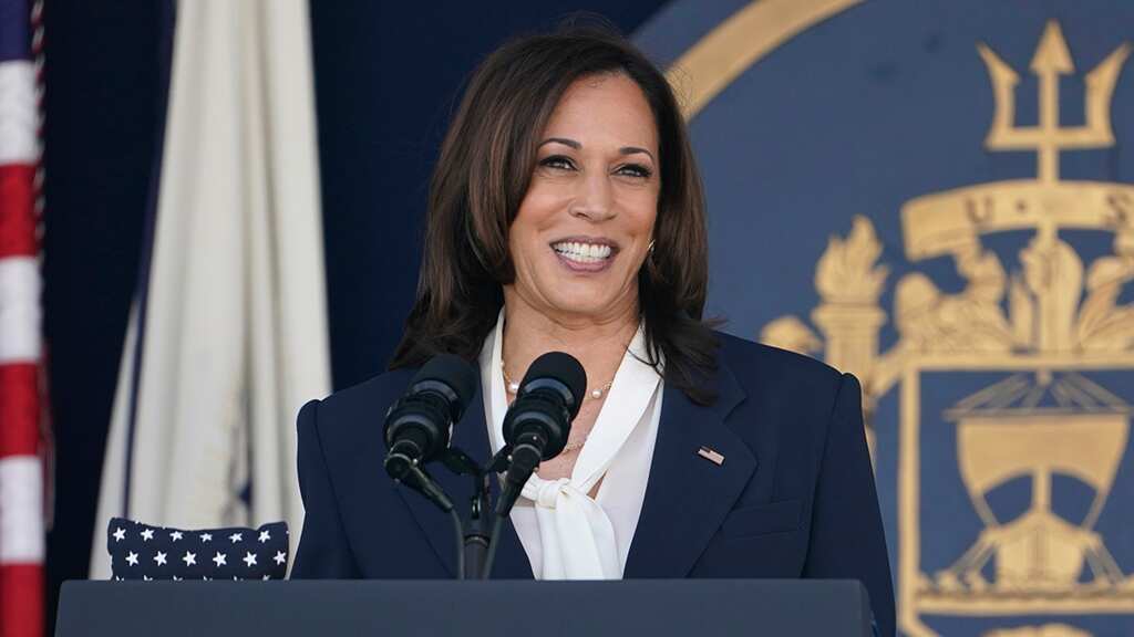 Harris declares Central America trip 'a success' amid criticism over border