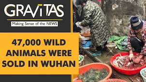 Gravitas | Wuhan virus: Probing the wet market angle