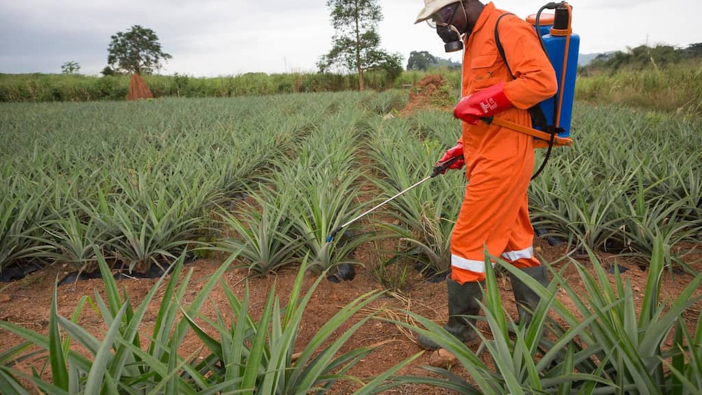Switzerland  to be the first European nation to vote on a referendum to ban synthetic pesticides