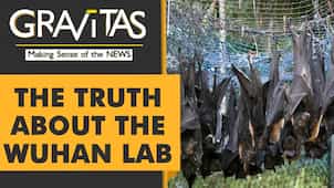 Gravitas: Caught On Camera: Bats locked up inside the Wuhan lab