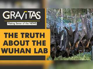 Gravitas: Caught On Camera: Bats locked up inside the Wuhan lab