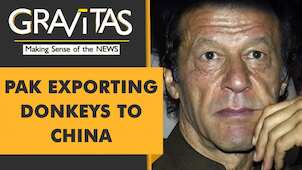 Gravitas: Pakistan's Donkey population is surging