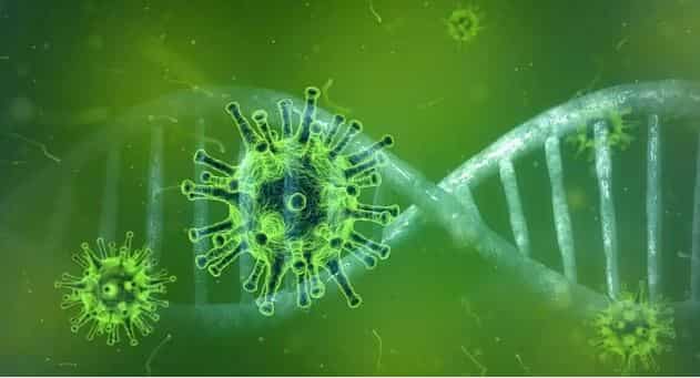 India's first case of ‘green fungus’ infection reported in Madhya Pradesh: All you need to know