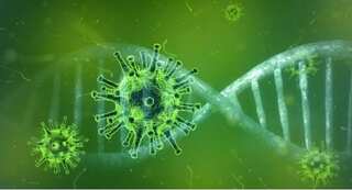 India's first case of ‘green fungus’ infection reported in Madhya Pradesh: All you need to know