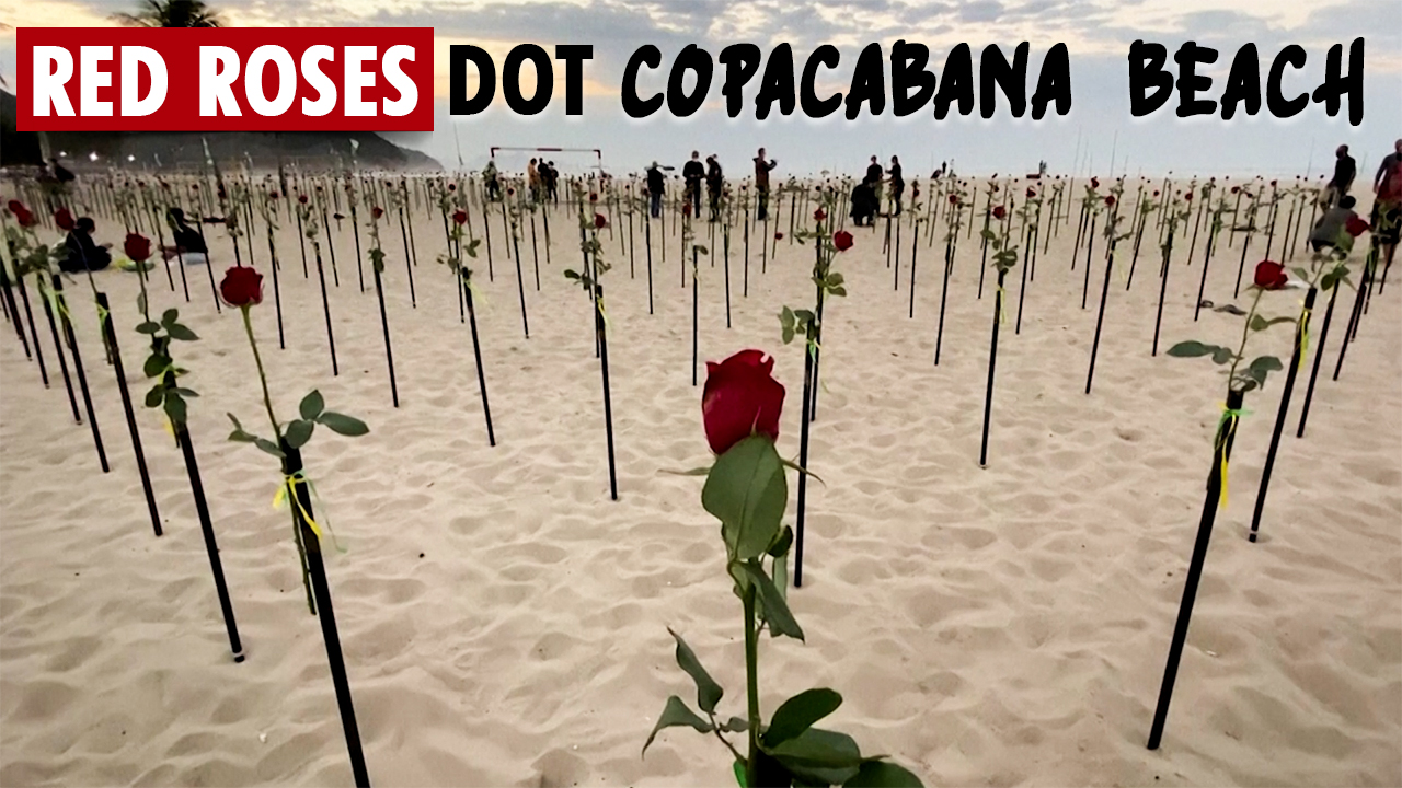 WionNews Video