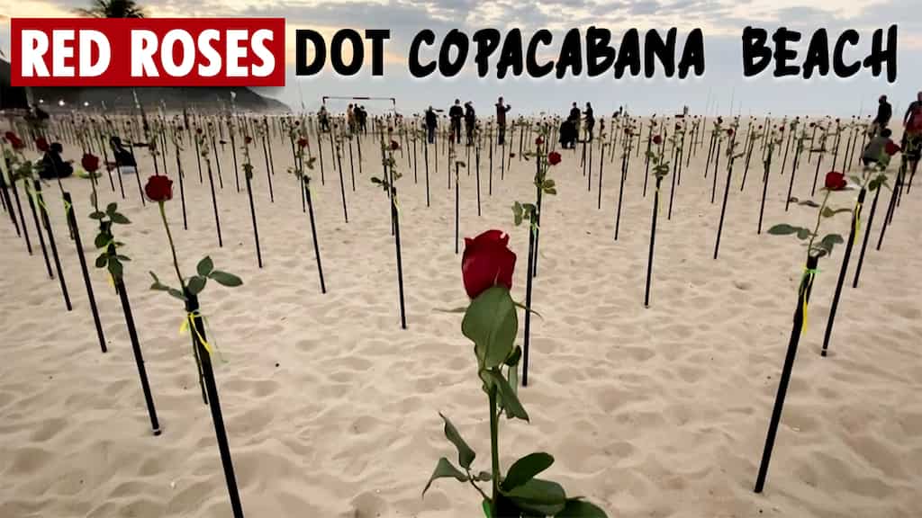 Red roses dot Copacabana beach for Brazil's 500,000 COVID deaths