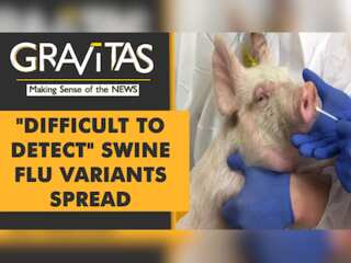 Gravitas: Now, a Swine Flu outbreak in China