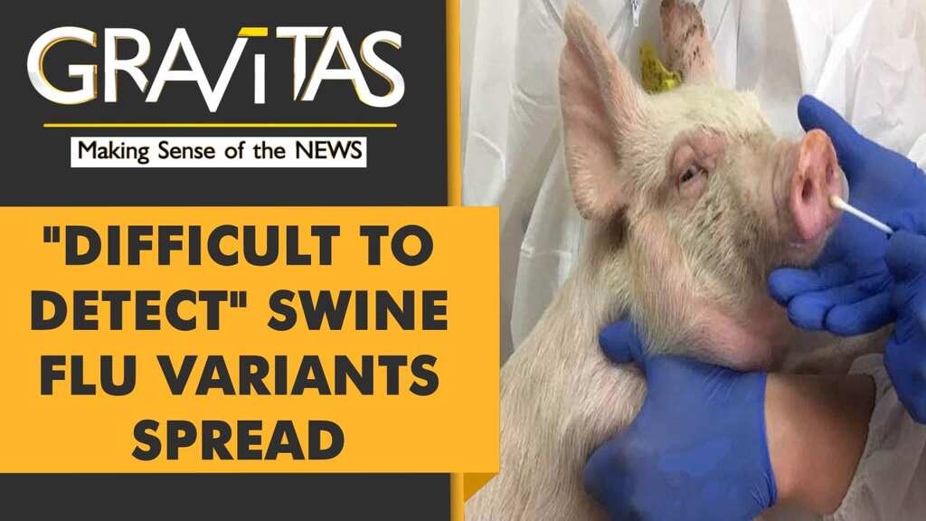 Gravitas: Now, a Swine Flu outbreak in China