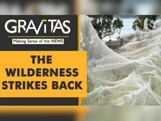 Gravitas: Raining mice & spider webs in Australia
