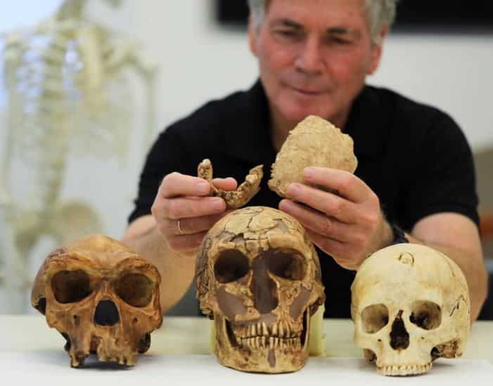 Nesher Ramla Homo: New form of ancient human unearthed in Israel