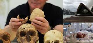 Morning News Brief: Lockdown in Sydney as cases surge, new form of ancient human unearthed in Israel, and more