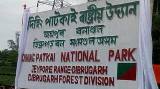 Assam's Dihing Patkai formally inaugurated as National Park