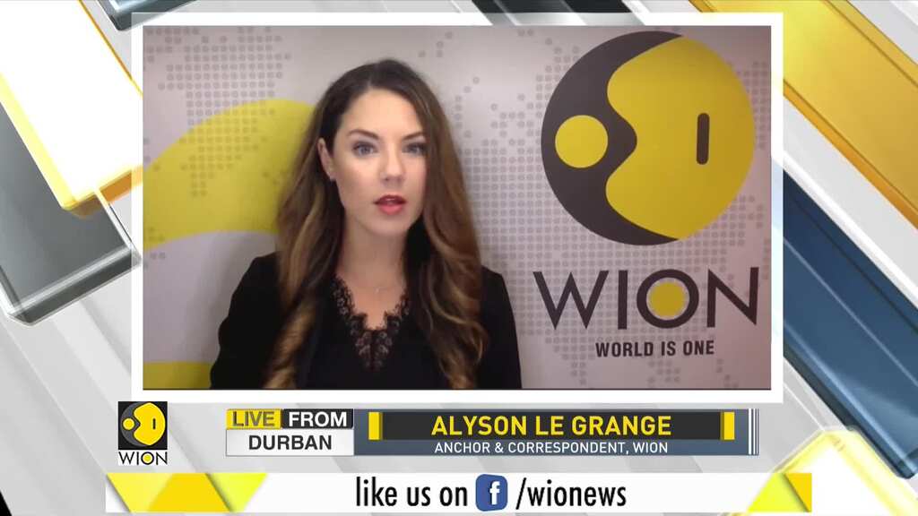 Coronavirus Origin: Do museum bat collections hold the clue