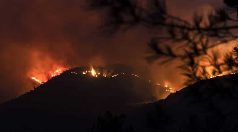 Four dead in Cyprus' worst forest fire in decades