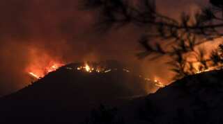 Four dead in Cyprus' worst forest fire in decades
