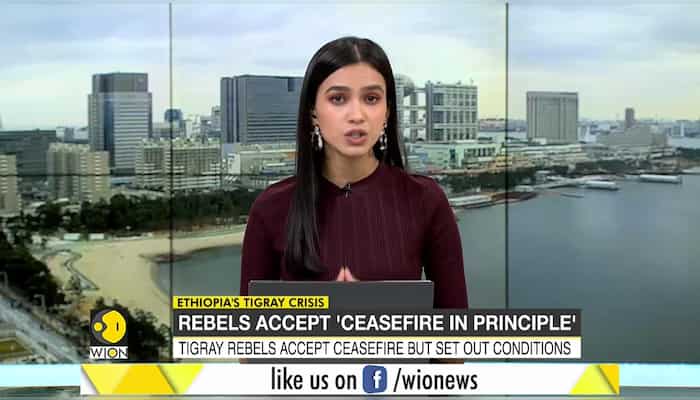 Ethiopia: Tigray rebels accept 'ceasefire in principle' but set out conditions