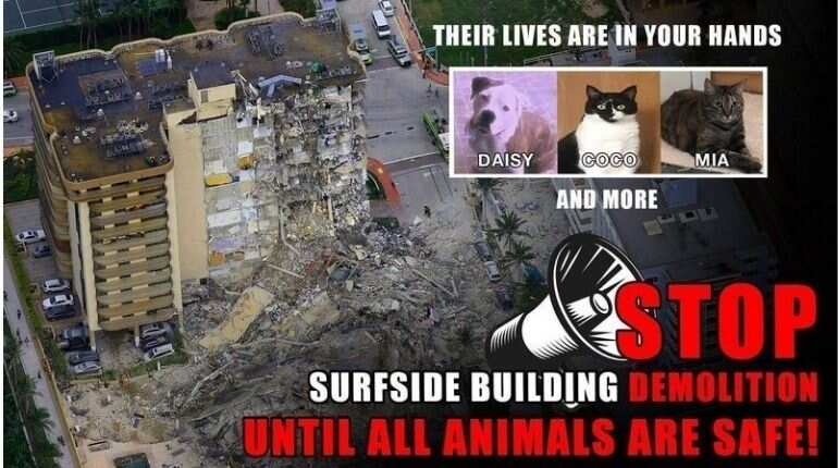 'A crime': Animal rights activist protest demolition of Florida building